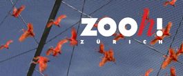 1 Eintrittsgutschein Zoo Zürich (30% Rabatt)