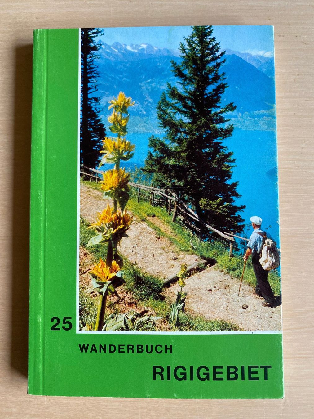 Livres: Wanderbuch RIGIGEBIET – D'occasion à deitingen par popcorn02