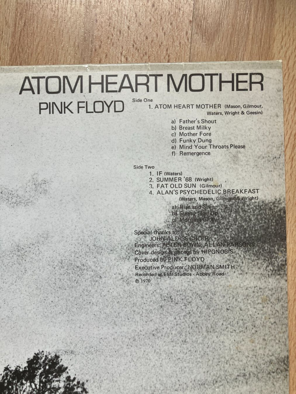 Dischi in vinile: Pink Floyd – Usato da Aarwangen venduto da Jukebox3 5