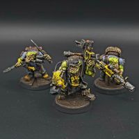 Warhammer 40k Kill Team Ork Kommandos well painted