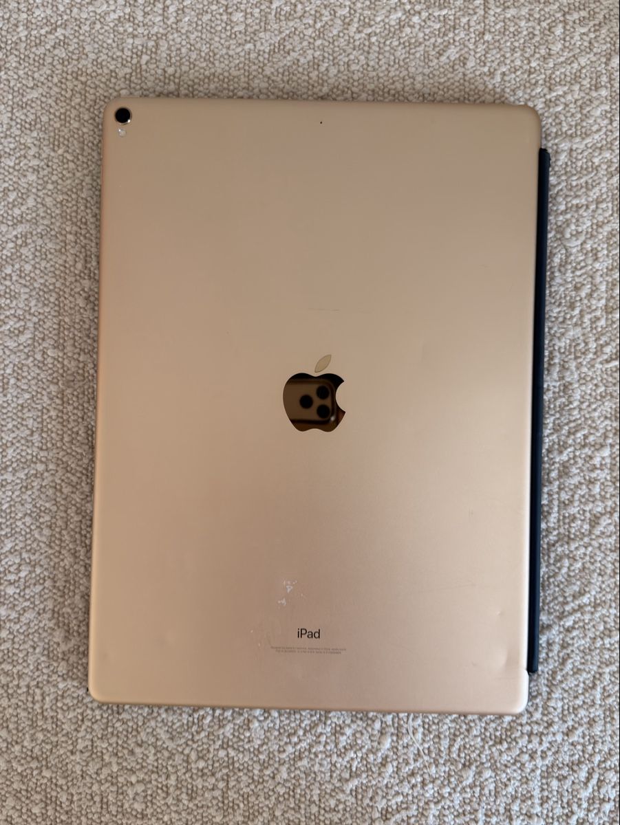 Apple Tablet PC: iPad Pro (12.9-inch) (2nd Generation)  – Usato da Uitikon Waldegg venduto da sdman 5