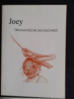Joey Traumatische Sachlichkeit neue Arbeiten 2011-2012