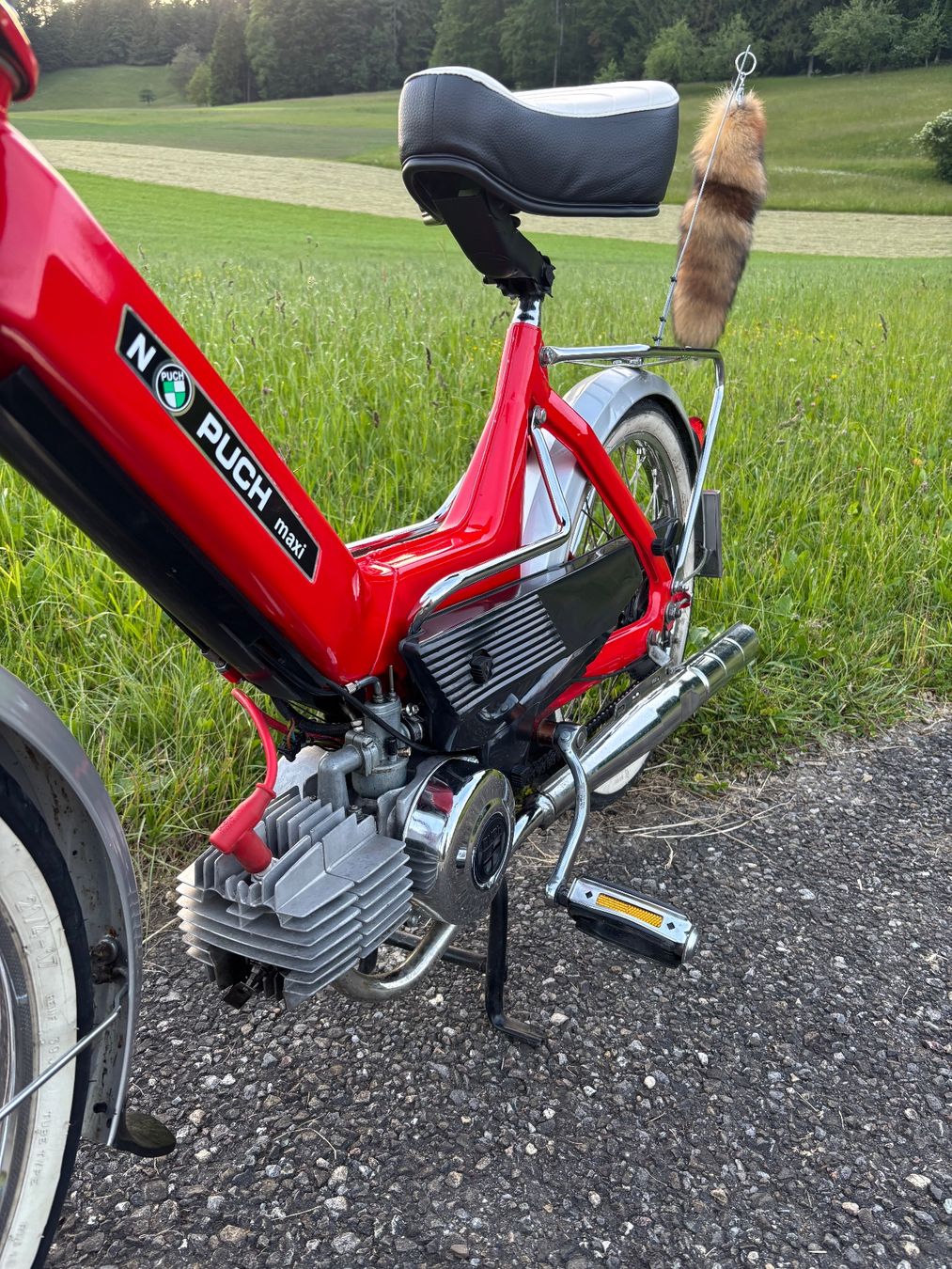 Puch Ciclomotori: Puch Maxi N ( Urmaxi ) – Usato da Turbenthal venduto da sch_8bqz 5