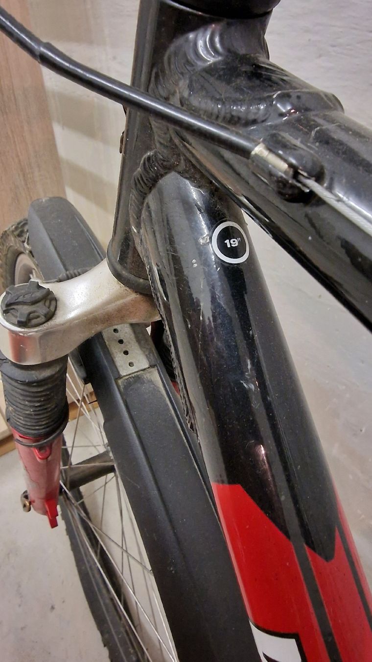 Biciclette: Wheeler Proride Mountainbike 19' – Usato da Seftigen venduto da ben_wr99 4