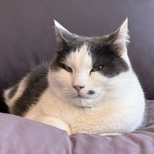 Profile image of Ryannaef84