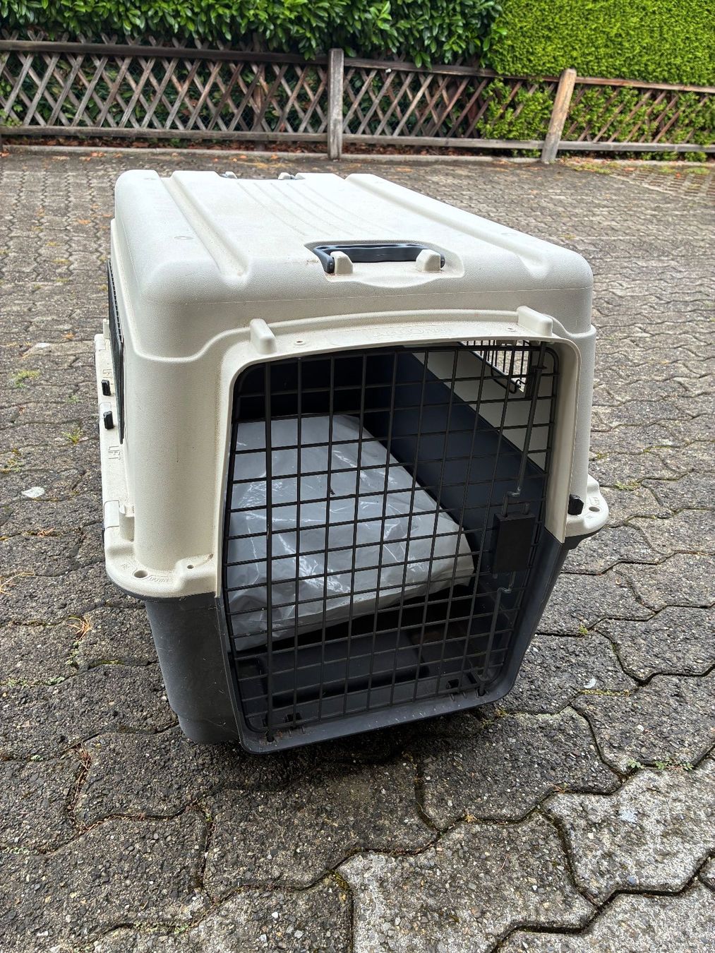 Gabbie, trasporto & Sicurezza: Hundetransportbox Anione – Usato da Dagmersellen venduto da kouk01