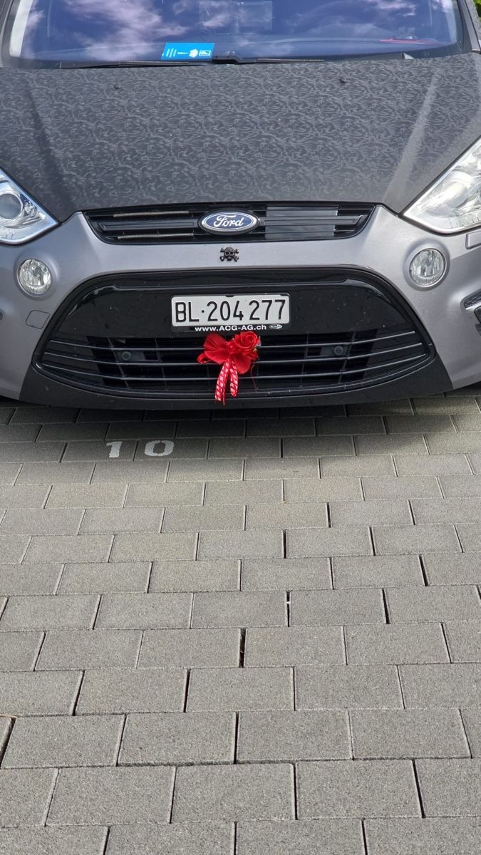 Ford Automobili: Ford S-Max 2.0 SCTi  – Usato da Frenkendorf venduto da cio_bk56 5