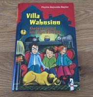 Villa Wahnsinn, Geisterjagd im Spukhotel von P.R. Naylor