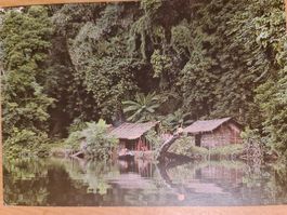Ansichtskarte Korup Nationalpark Korup WWF