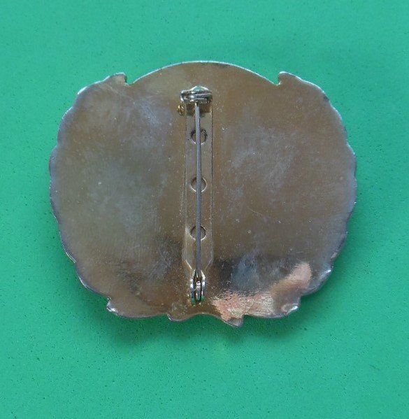 Placchette & Badge: UN beret Badge – Usato da Zwillikon venduto da Boban69 1