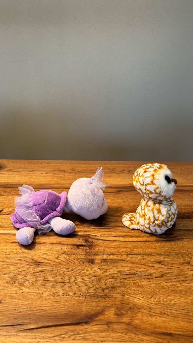Giocattoli: Plüschtier Schildkröte Twirly und Eule – Usato da Rothenburg venduto da Disney3 4