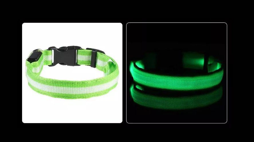 Leine & Halsband: LED Hunde Leuchthalsband - Grösse S in Blau – Neu und originalverpackt aus Werdenberg von EXA-Animal-World 3