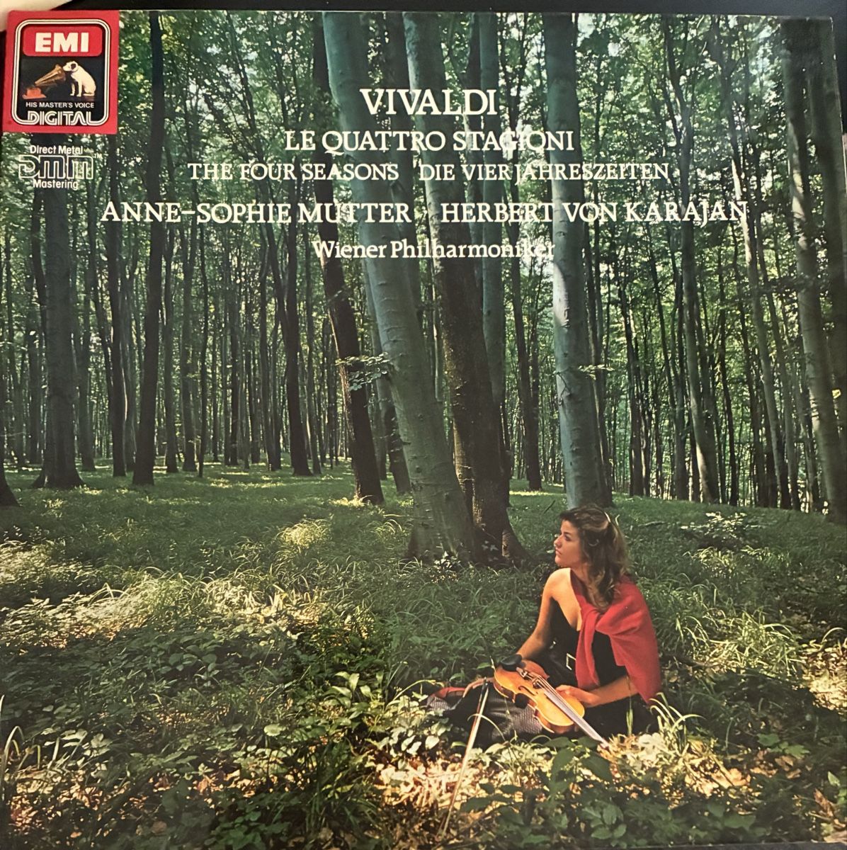 Dischi in vinile: Lot de 36 Vinyles – Usato da Onex venduto da nonoemi06 3