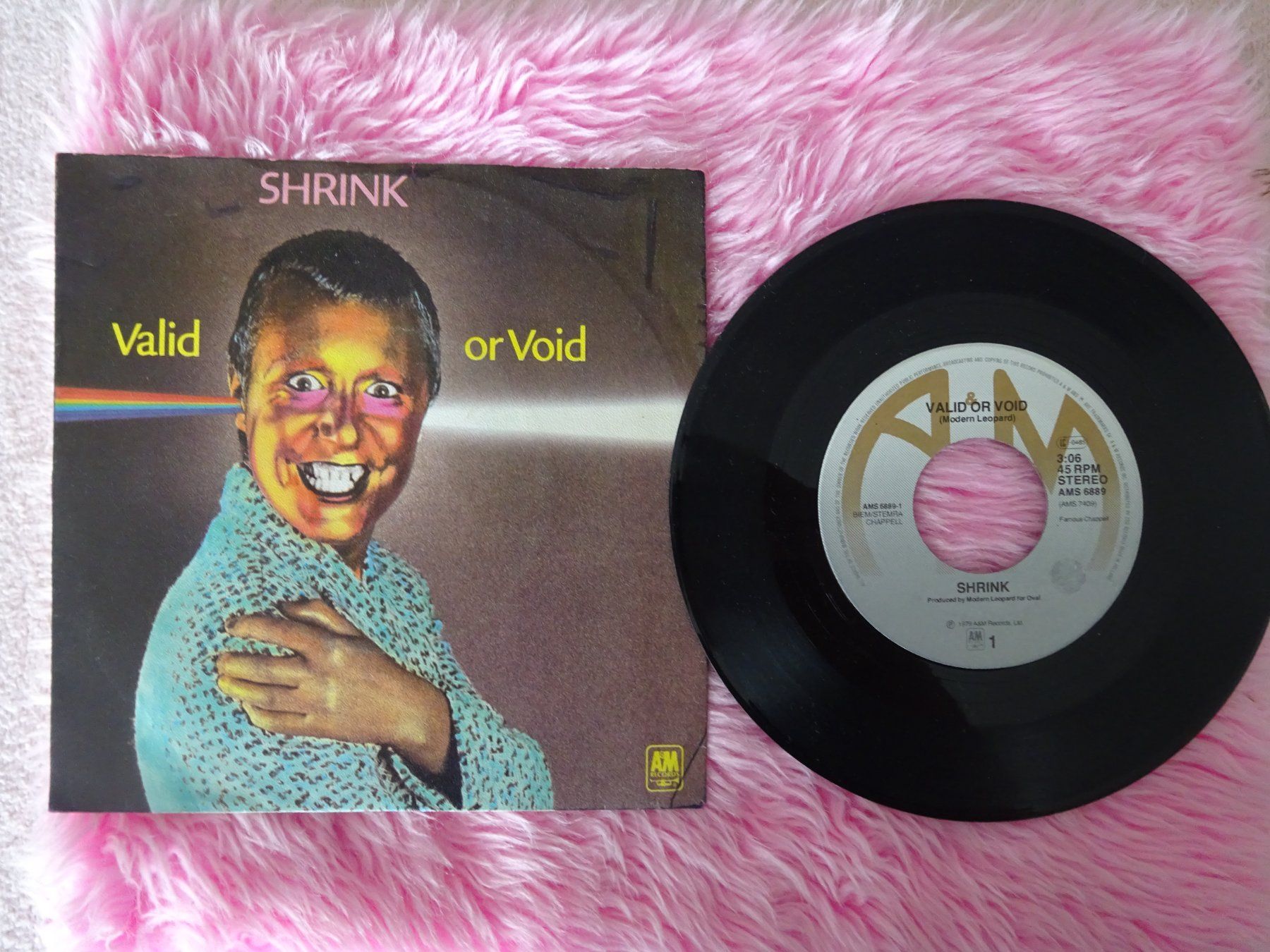 Dischi in vinile: SHRINK ** VALID OR VOID ** 77er ** PUNK POP KLASSIKER – Usato da Luzern venduto da xrayspex99