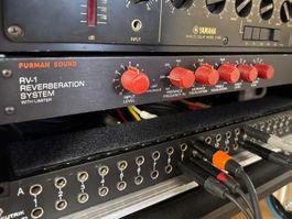 SPRING REVERB FURMANN RV-1 rare