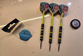Wimnau - Michael van Gerwen Ambition Brass -  Steeldart-24g