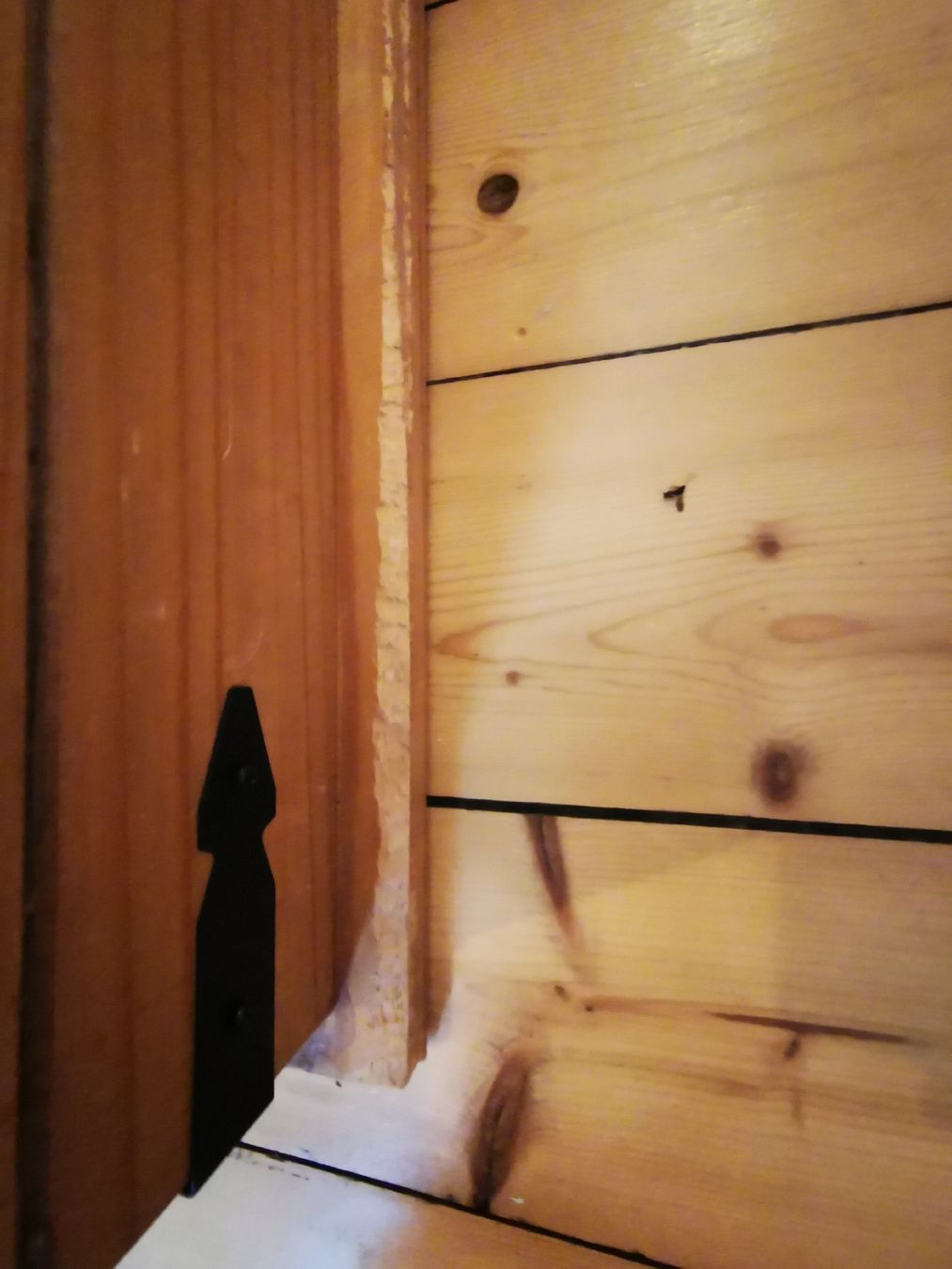 Cassapanche: Holztruhe – Usato da Arbon venduto da Sunna1 5