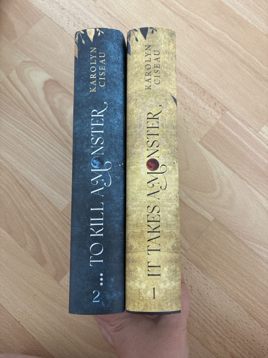 Livres: Drachen Fantasy Bücher  – Neuf (Voir description) à Mels par joe_lin572 3