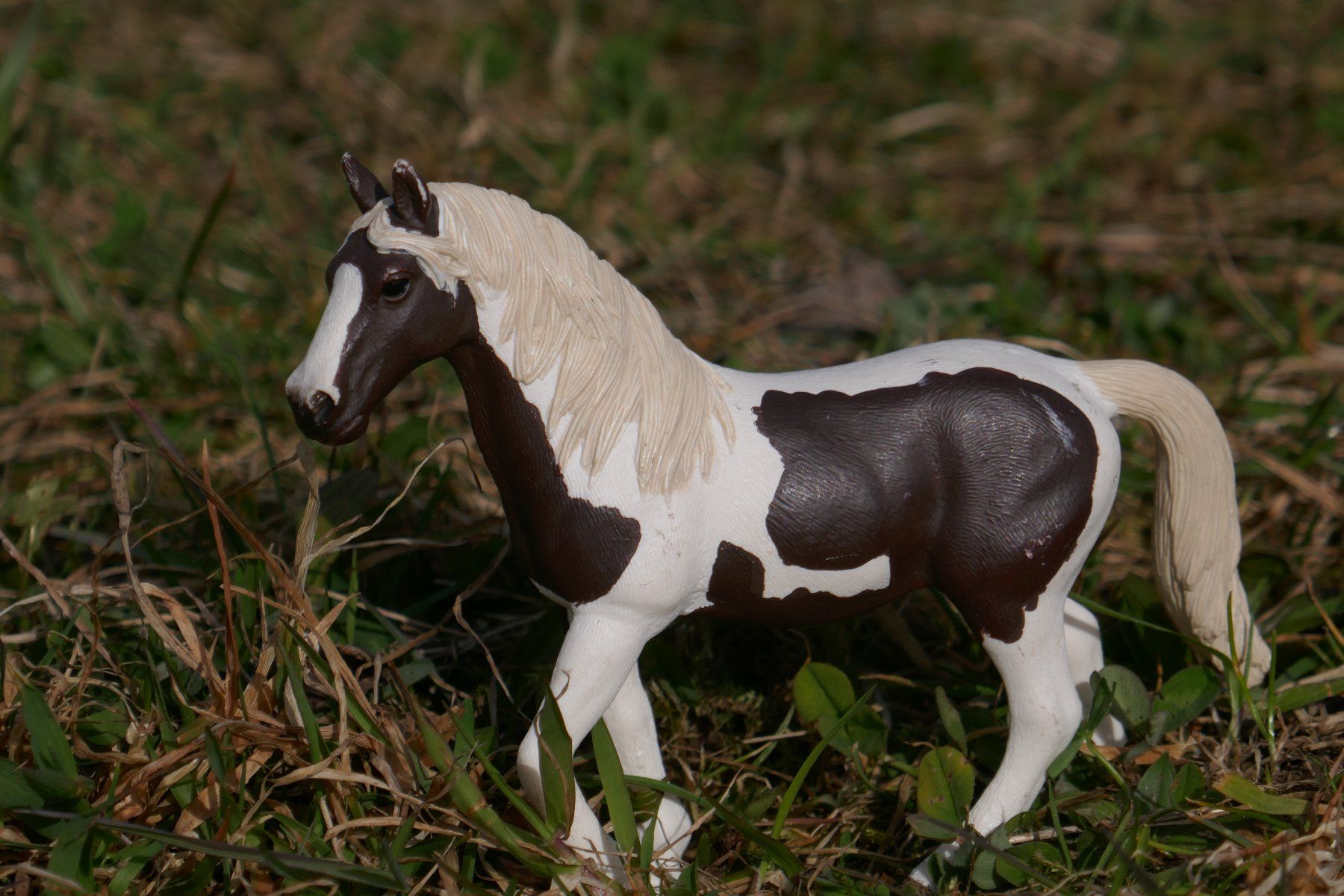 Schleich Giocattoli: Paint Horse Stute mit Reiterin – Usato da Wald ZH venduto da ra_wo 3