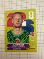 Panini Sticker WM 2026, NOR 2 Orjan Nyland