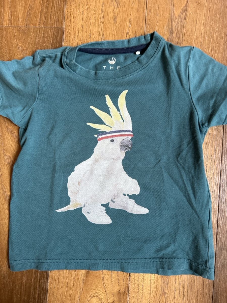 Camicie, T-shirt & Polo: 2 TShirts 98/104 The New – Usato da Maloja venduto da liv_5gzx 2