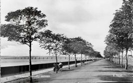 Riverside Drive, Dundee, Schottland 1959