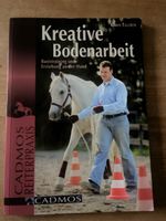 Kreative bodenarbeit mit dem pferd