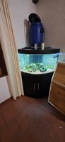 Eckaquarium 190 liter  mit Unterschrank schwarz gebraucht