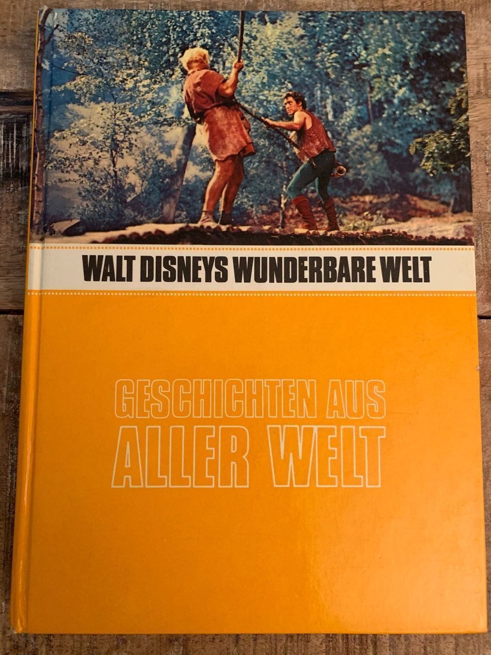 Libri: Disneys Wunderbare Welt Geschichten – Usato da Regensdorf venduto da Spyke55