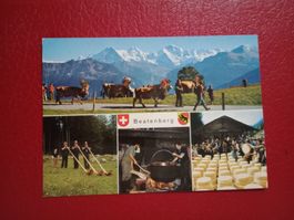 Beatenberg Bern mehrbildrig Alphorn Chasteilet