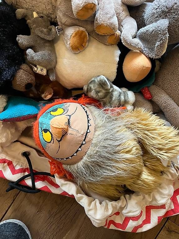 Jouets: Rund 30 Stofftiere – D'occasion à Zürich par cat 1