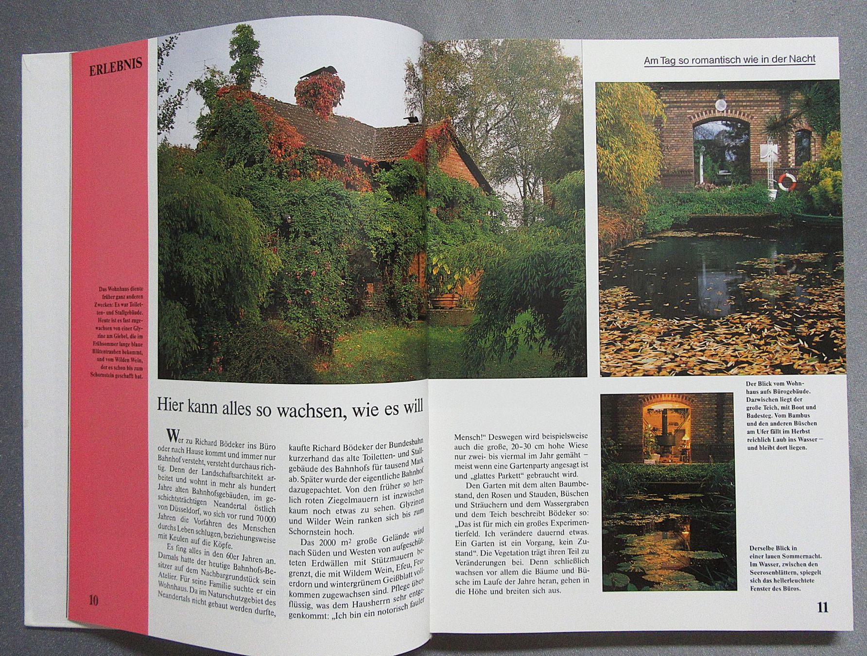 Libri: Der Wassergarten - Teiche • Bäche • Pflanzen • Tiere – Usato da Auenstein venduto da Padabimbim 3