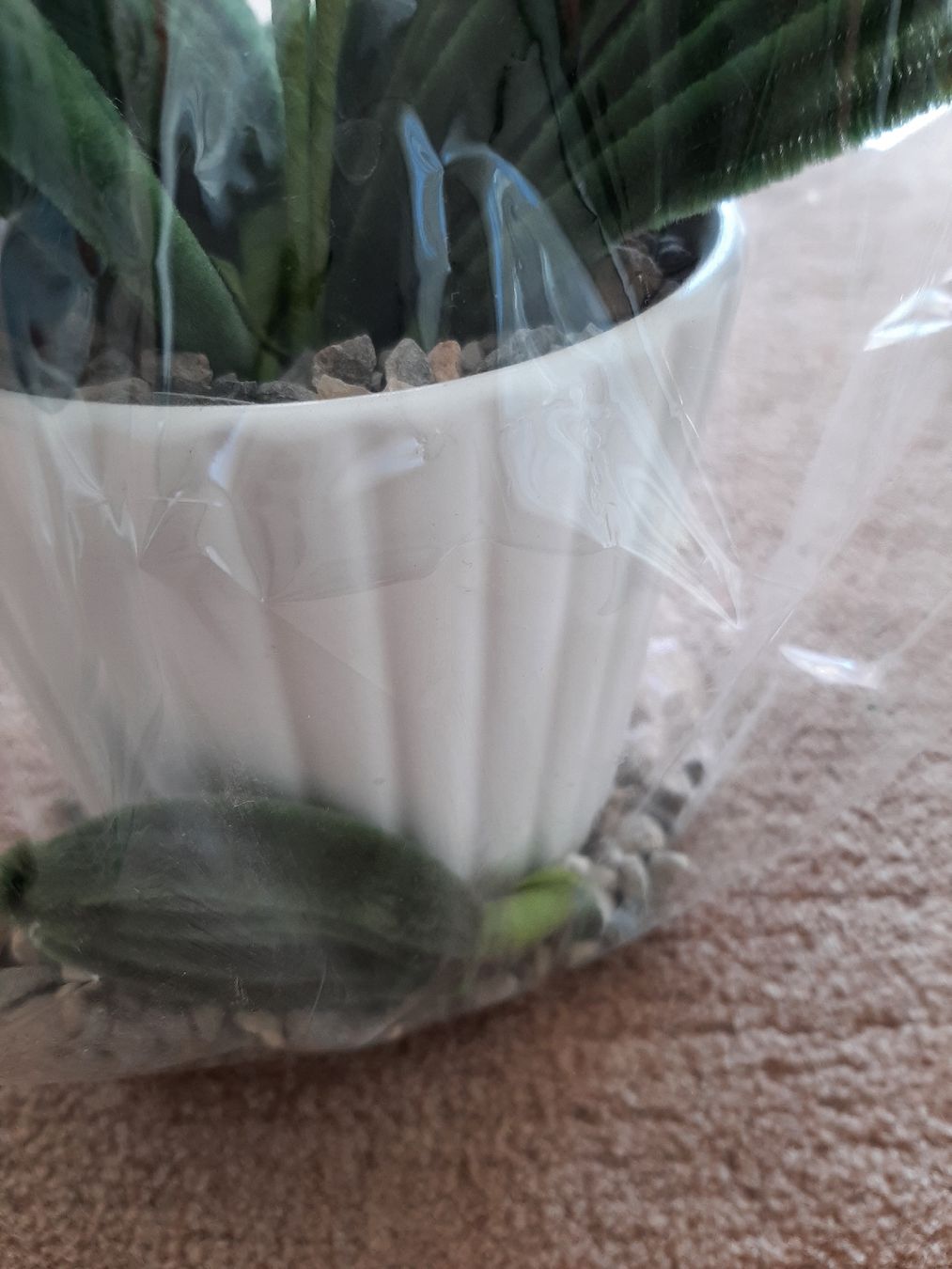Tutte le decorazioni: Künstliche Blume – Nuovo e nell'imballaggio originale da Wittenbach venduto da lukelu 3
