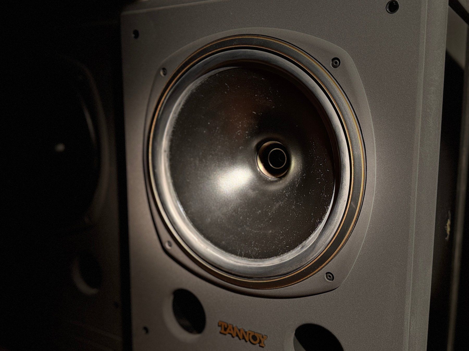 Tannoy Casse acustiche: Tannoy System 12 DMT – Usato da Wilchingen venduto da Pear20x 4