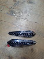 Triumph Emblem Thunderbrid  R + L (T2400627/T2400628)