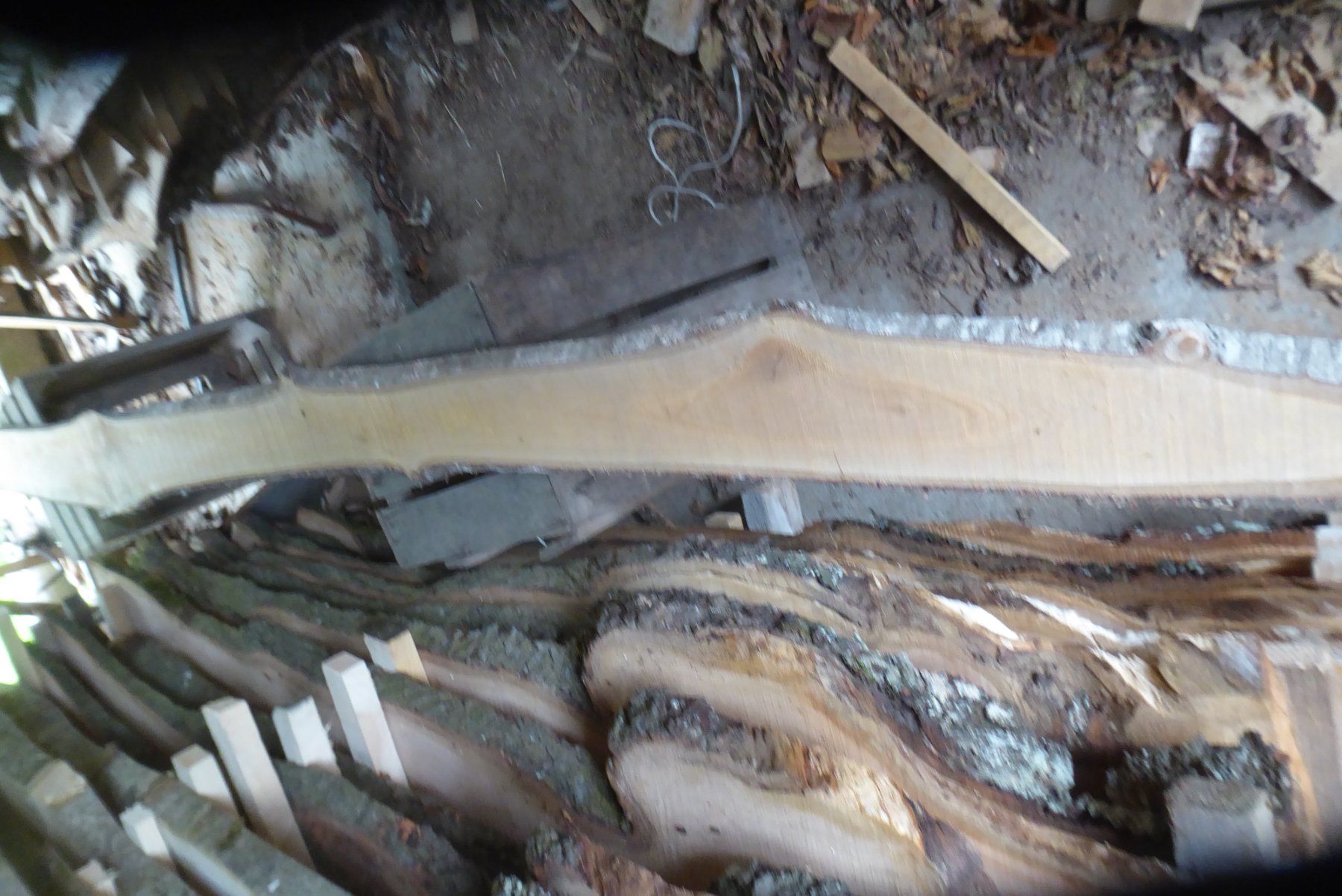 Articoli in legno: Kirschbaumbrett 16 mm – Nuovo (secondo la descrizione) da Sumiswald venduto da Hennri1 1