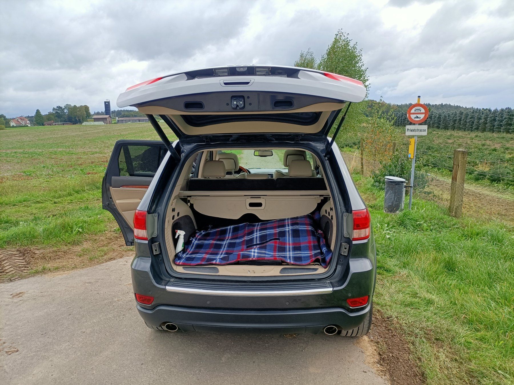 Jeep Automobili: Jeep Grand Cherokee – Usato da Regensdorf venduto da Martin1899 4
