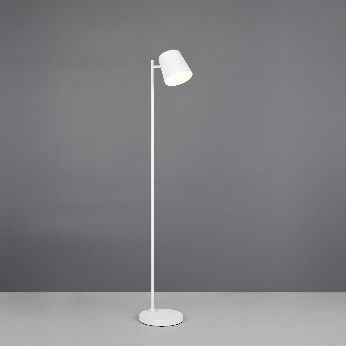 Lampade: LED Stehleuchte, Akku, 125 cm Höhe – Nuovo (secondo la descrizione) da Kreuzlingen venduto da Smart-Light