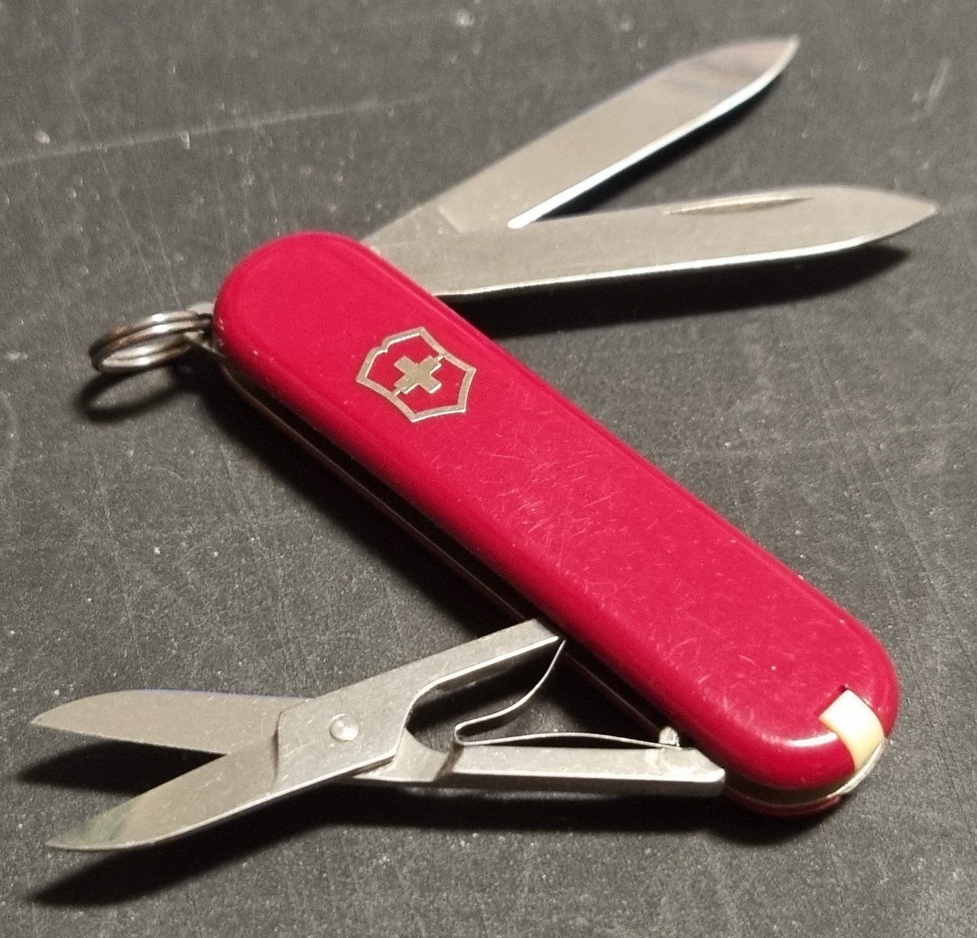 Victorinox Coltelli tascabile: Victorinox SICPA – Usato da Prilly venduto da azm_t9nd 1