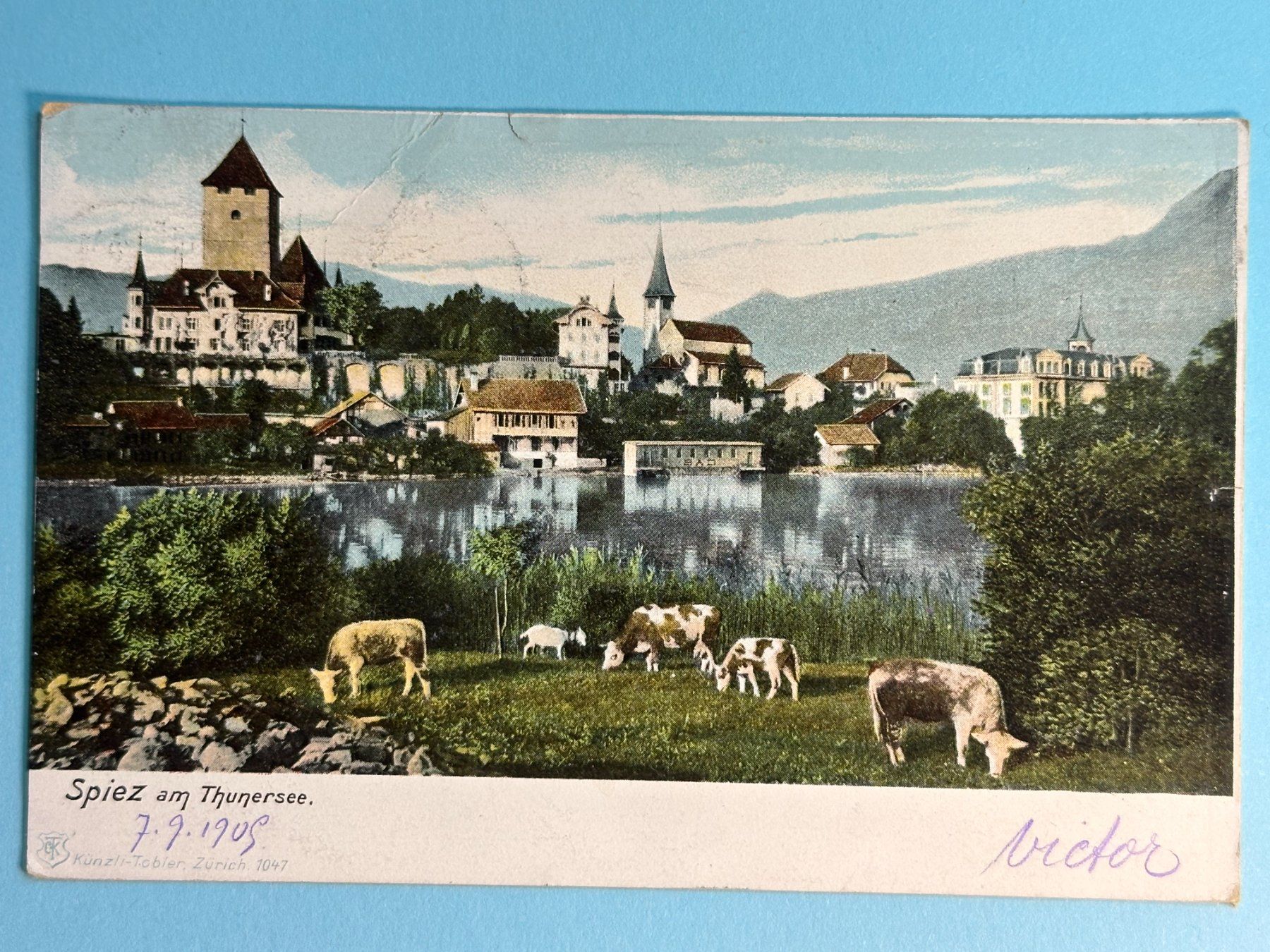 Cartoline postali: Spiez am Thunersee - 1905 – Usato da Steg VS venduto da danwer74