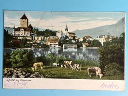 Spiez am Thunersee - 1905