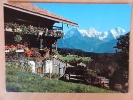 Beatenberg - Jungfrau Suisse été 1982