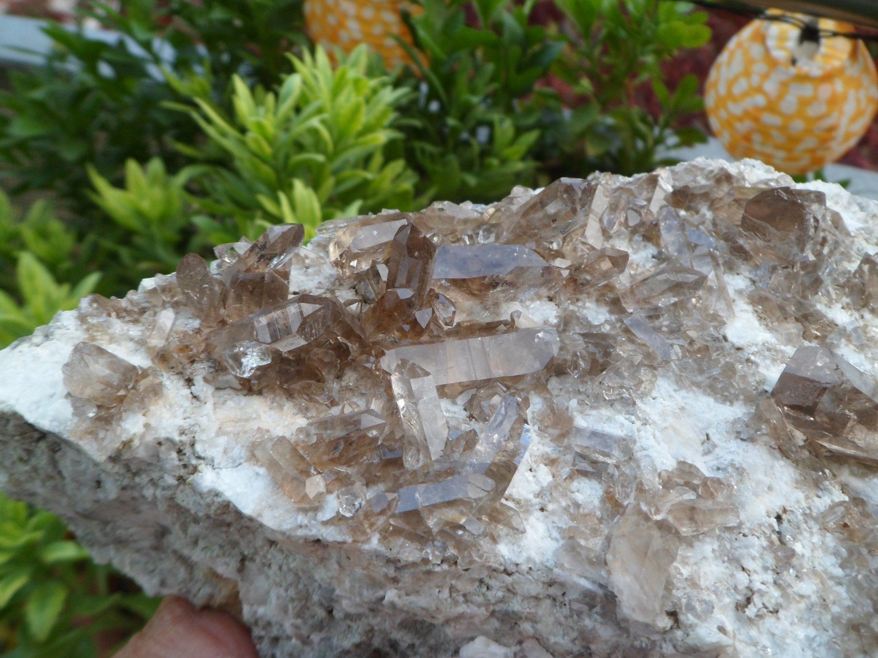 Minéraux & Lithothérapie: Rauchquarz Schweiz – Neuf (Voir description) à Affoltern am Albis par Fossil60 3