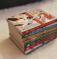 The Sacred Blacksmith - Manga Band 1-7 deutsch
