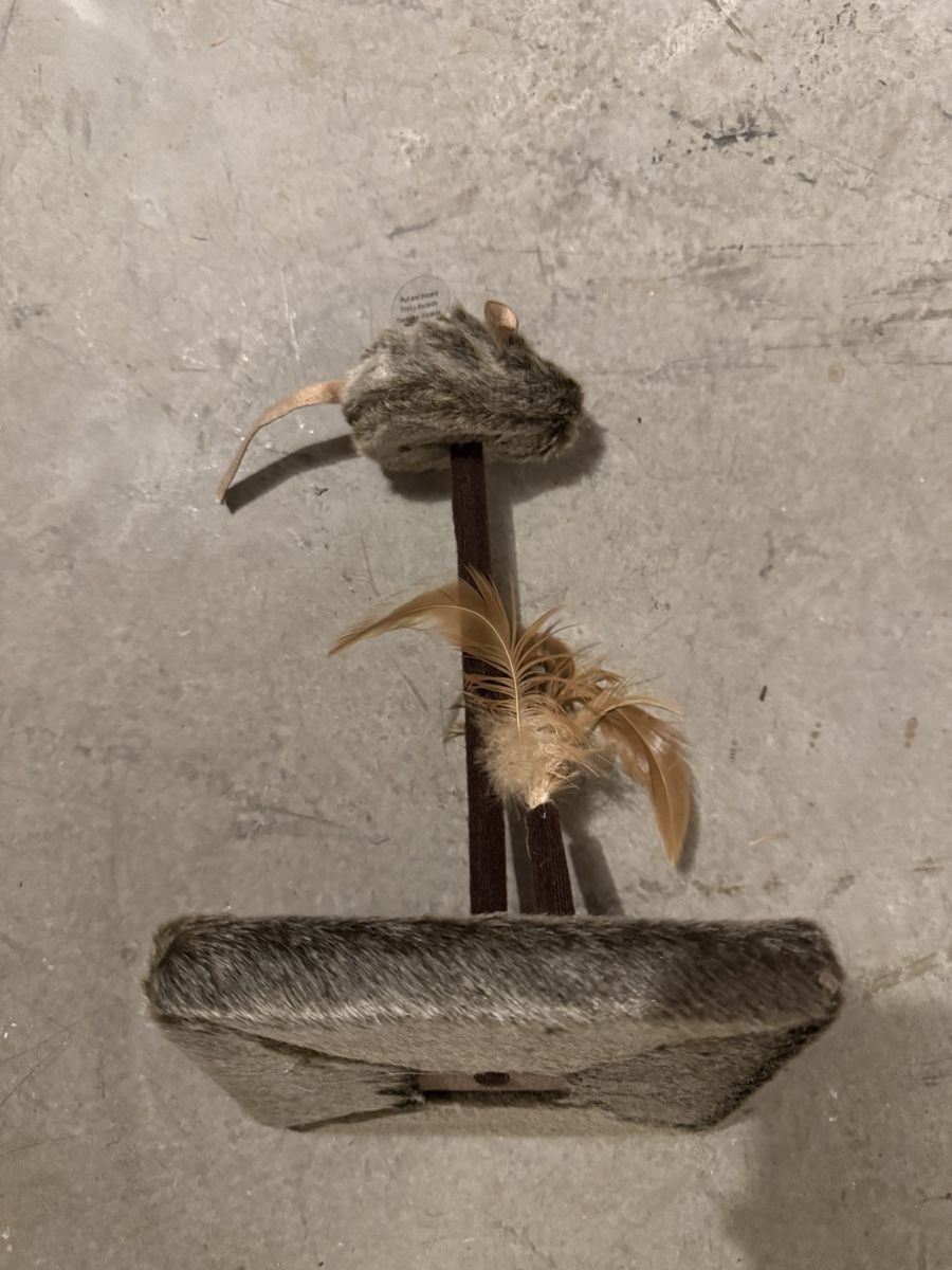 Spielzeuge: Interactive Cat Toy Scratching Post – Neu (gemäss Beschreibung) aus Zürich von aus_r2dq 1