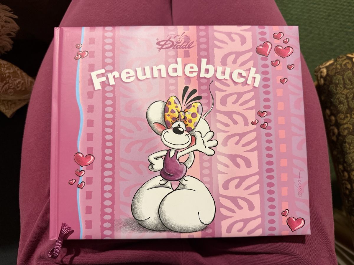 Albums: Diddl Freundebuch – Neuf (Voir description) à Zürich par ans_299