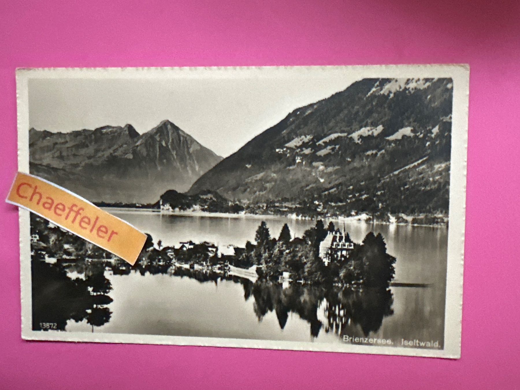 Cartoline postali: Brienzersee, Iseltwald – Usato da Zürich venduto da Chaeffeler