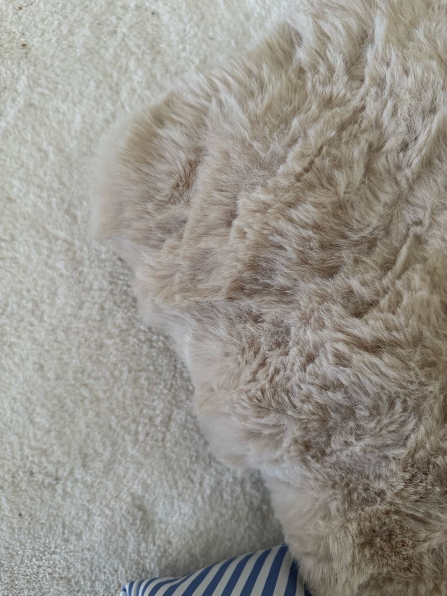 Niches, paniers: Hundebett Beige – Neuf avec emballage d'origine à Uster par iia_5rdv 2