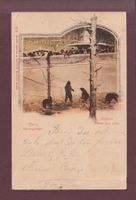 BERN - Bärengraben - 1899 CPN // Eckbüge //