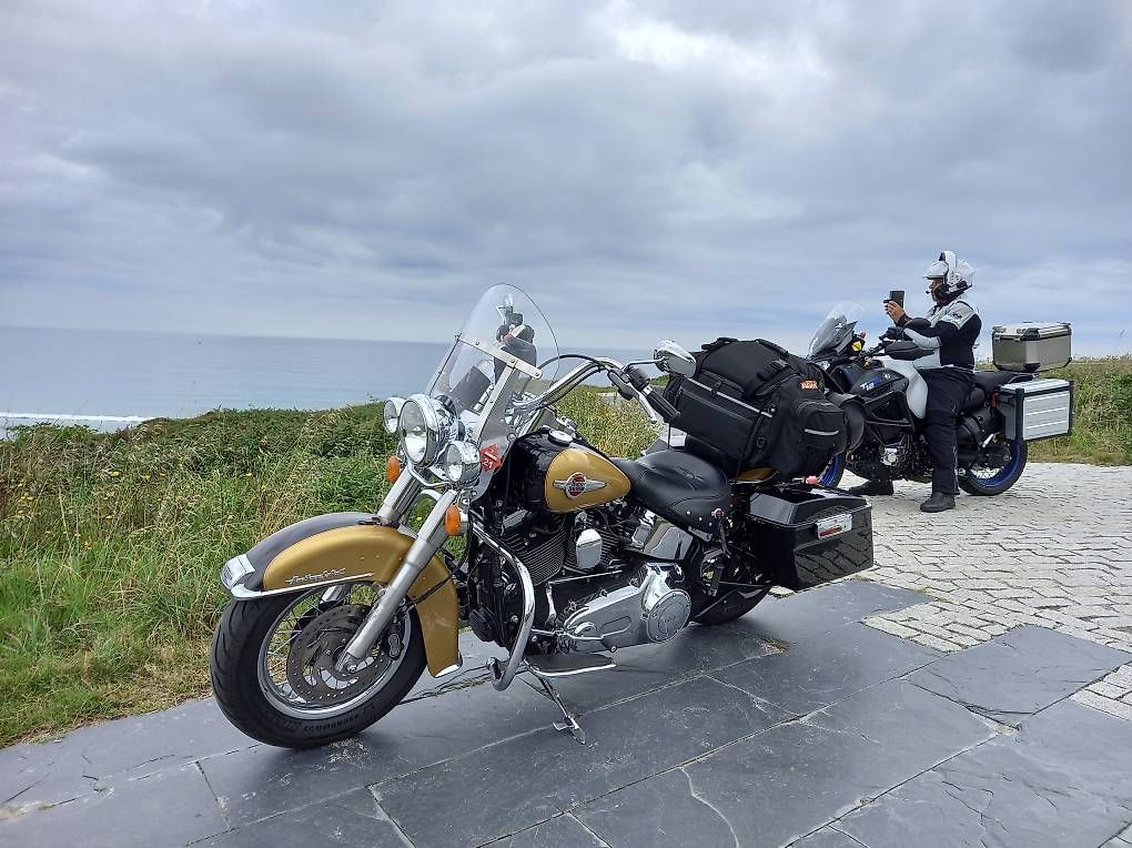 Cruisers: Sehr gepflegte Harley – D'occasion à Wiler par ber_2b29